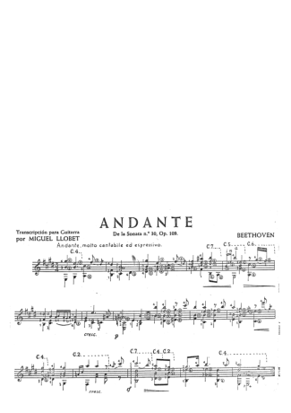 Beethoven  score for Acoustic Guitar