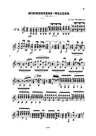 Beethoven  score for Acoustic Guitar