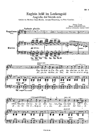 Franz Liszt  score for Piano