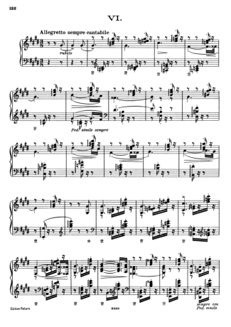 Franz Liszt  score for Piano