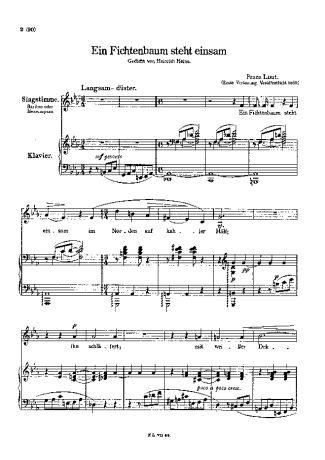 Franz Liszt  score for Piano