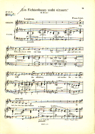 Franz Liszt Ein Fichtenbaum Steht Einsam II S.309bis score for Piano