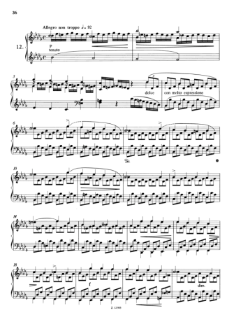 Franz Liszt  score for Piano