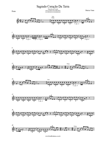 Marcus Viana Sagrado Coração Da Terra score for Flute