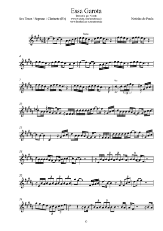 Netinho de Paula Essa Garota score for Clarinet (Bb)